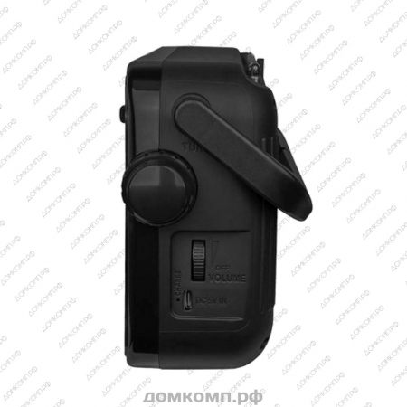 Радиоприемник Ritmix RPR-303 недорого. домкомп.рф